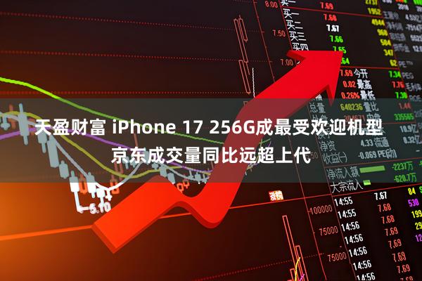 天盈财富 iPhone 17 256G成最受欢迎机型 京东成交量同比远超上代
