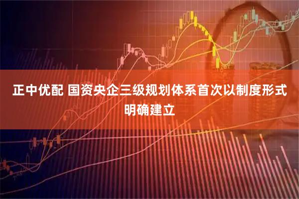 正中优配 国资央企三级规划体系首次以制度形式明确建立